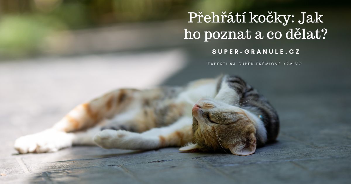 prehrati-kocky (4)